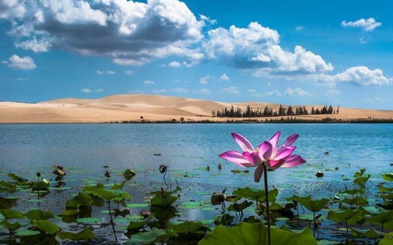 Khám phá Bắc Bình (Bình Thuận) qua những điểm đến đầy cuốn hút không thể bỏ lỡ