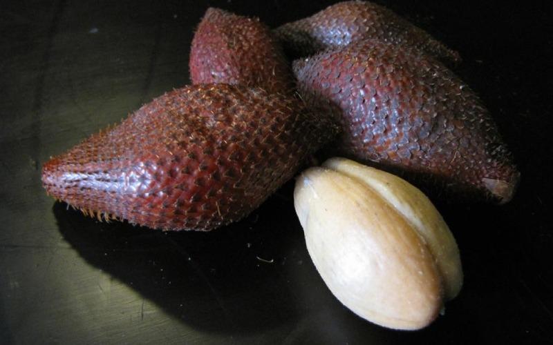 Bà bầu có nên ăn trái mây Thái? Những lưu ý quan trọng không thể bỏ qua