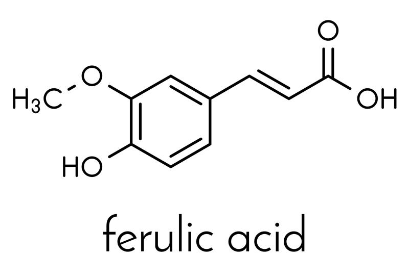 Ferulic acid là gì? Những công dụng của Ferulic acid đối với làn da bạn là gì?