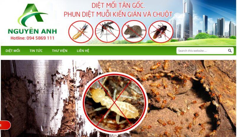 Top 7 dịch vụ diệt mối và côn trùng đáng tin cậy nhất tại tỉnh Thanh Hóa
