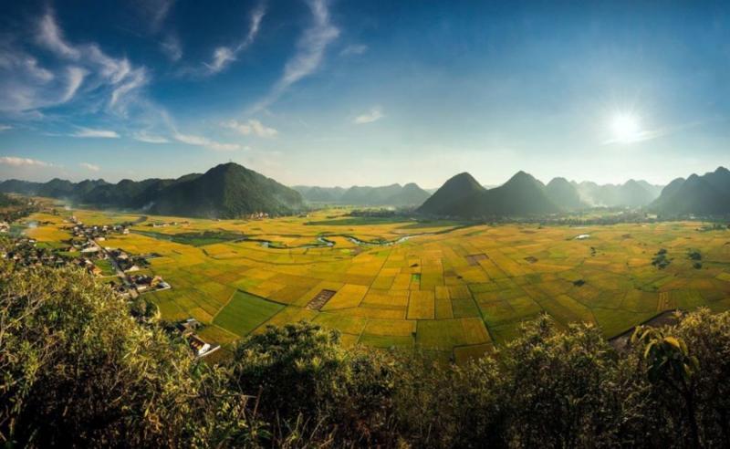 Khám phá 11 địa điểm ngắm cánh đồng lúa chín đẹp mê hồn