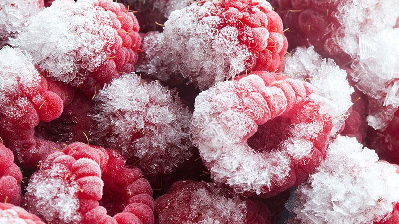 Freezer Burn là gì? Bí quyết phòng ngừa và bảo quản thực phẩm đông lạnh hiệu quả