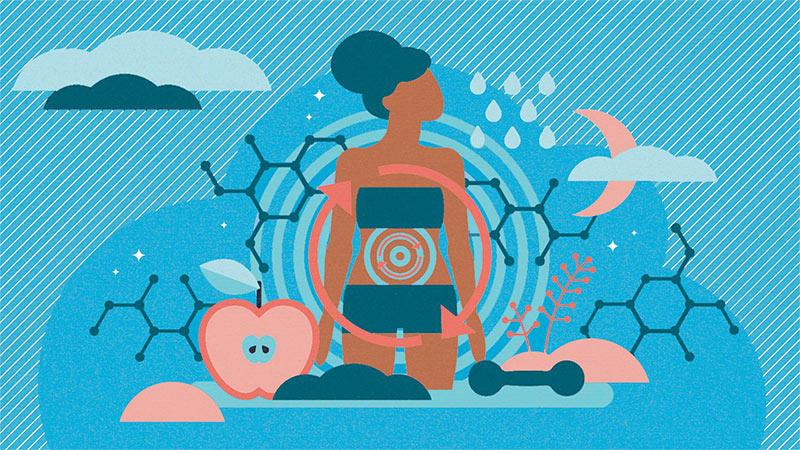 Metabolic và Metabolism là gì? Vai trò then chốt của quá trình trao đổi chất trong duy trì sự sống
