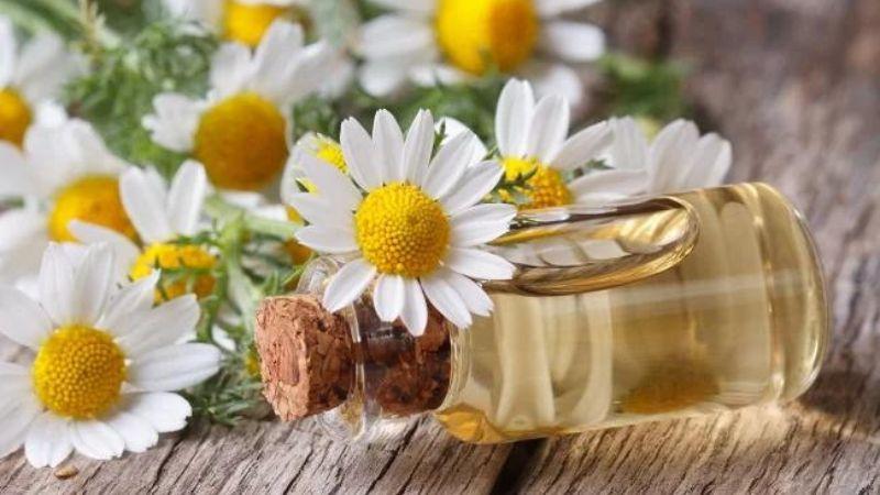 5 hoạt chất giúp làm dịu và xoa dịu làn da kích ứng