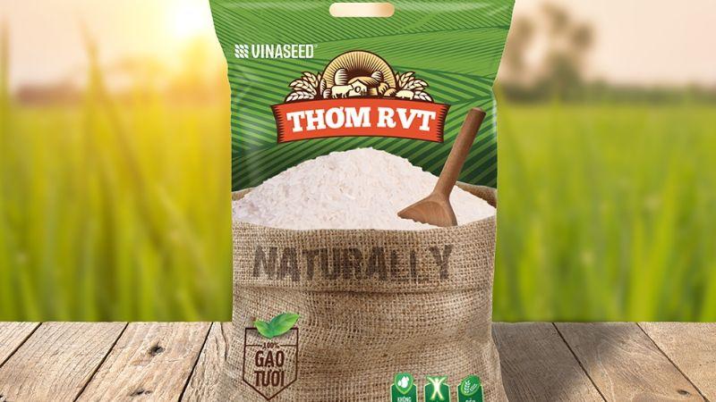 Gạo thơm RVT – Đặc điểm, giá cả và điều gì khiến loại gạo này được ưa chuộng?