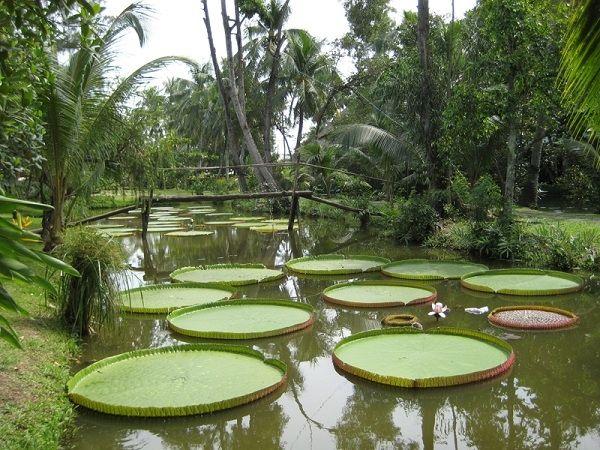 Top 9 điểm du lịch sinh thái hấp dẫn tại Cần Thơ