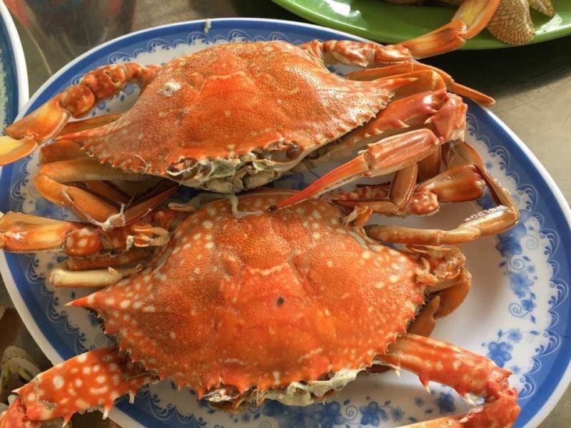 Top 8 địa chỉ thưởng thức hải sản bình dân ngon nhất tại Vũng Tàu