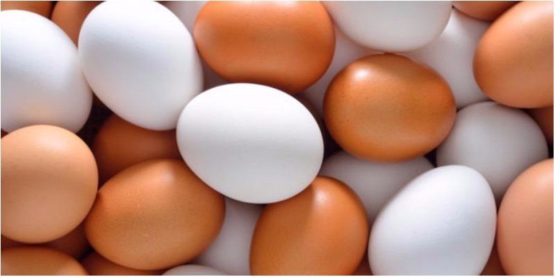 Sự khác biệt giữa trứng vỏ nâu và trứng vỏ trắng là gì?