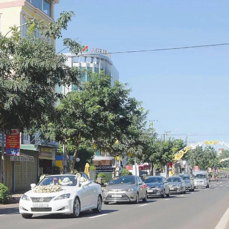 Top 3 địa chỉ cho thuê xe hoa đám cưới uy tín, chất lượng tại Đắk Nông bạn không nên bỏ lỡ