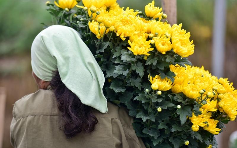 6 loại hoa truyền thống dâng cúng ông Công ông Táo vào ngày 23 tháng Chạp