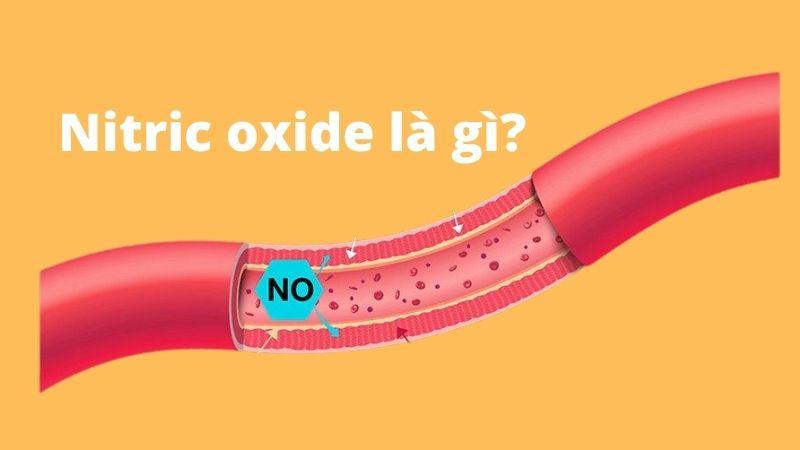 Nitric oxide là một hợp chất vô cùng quan trọng đối với cơ thể, giúp duy trì sức khỏe. Vậy nitric oxide là gì và những tác dụng của nó đối với cơ thể là như thế nào?