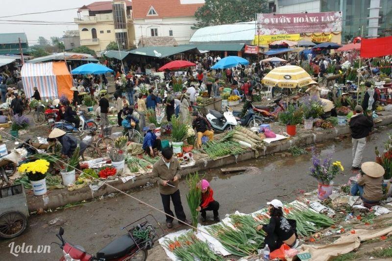 10 Điều Tuyệt Vời và Tràn Đầy Hạnh Phúc Khi Trở Về Quê Đón Tết