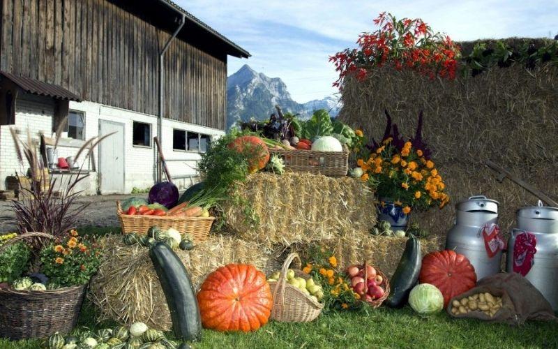 Lễ Tạ Ơn (Thanksgiving) là dịp để chúng ta thể hiện lòng biết ơn. Ngày lễ này sẽ diễn ra vào thời điểm nào trong năm 2024?