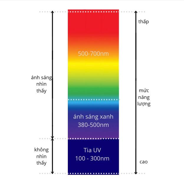 Tia UV là gì? Những loại tia UV nào có thể gây hại cho làn da và cách bảo vệ da hiệu quả trước chúng?