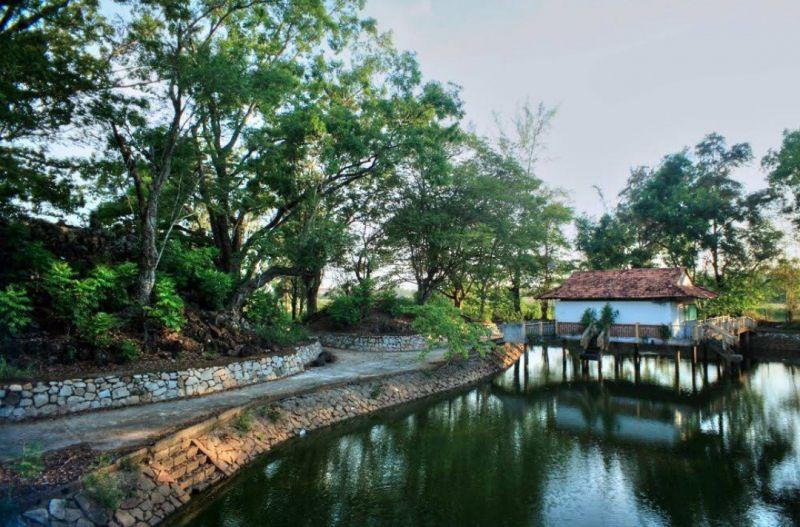 12 Điểm Đến Hấp Dẫn Nhất tại Long An