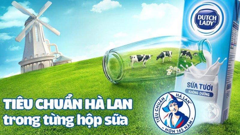 Sữa tươi không đường chứa bao nhiêu calo? Uống có gây tăng cân không?