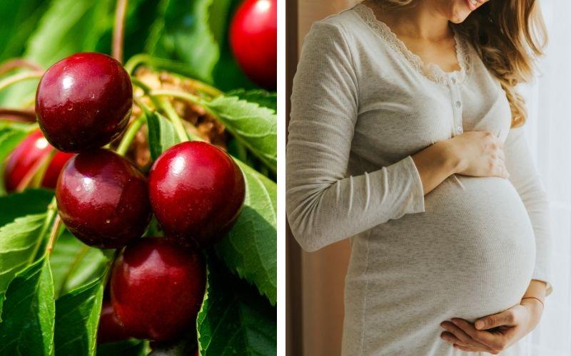 Bà bầu có nên ăn cherry không? Những điều cần lưu ý khi thưởng thức cherry