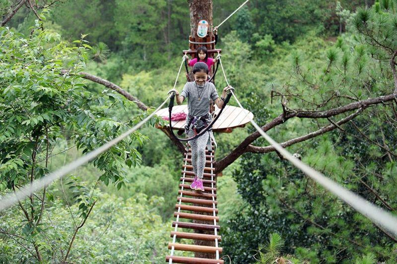 Top 10 hoạt động hấp dẫn nhất khi khám phá Đà Lạt