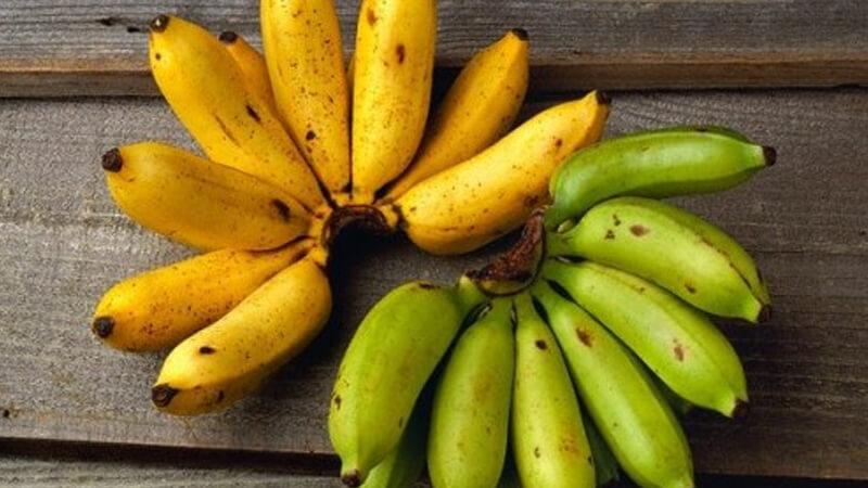 Tìm hiểu các giống chuối hiện nay và bí quyết nhận biết từng loại một cách chuẩn xác