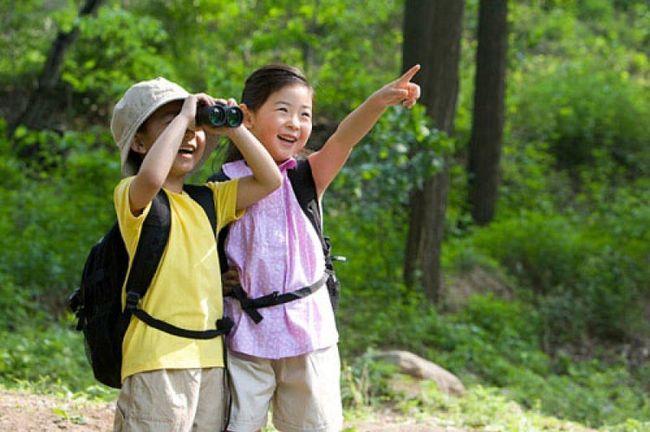 Top 11 bài viết nghị luận xuất sắc về lợi ích của việc tham quan du lịch đối với học sinh (lớp 8)