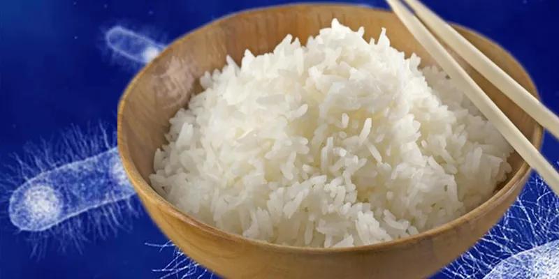 Cơm nguội có thực sự gây ung thư?