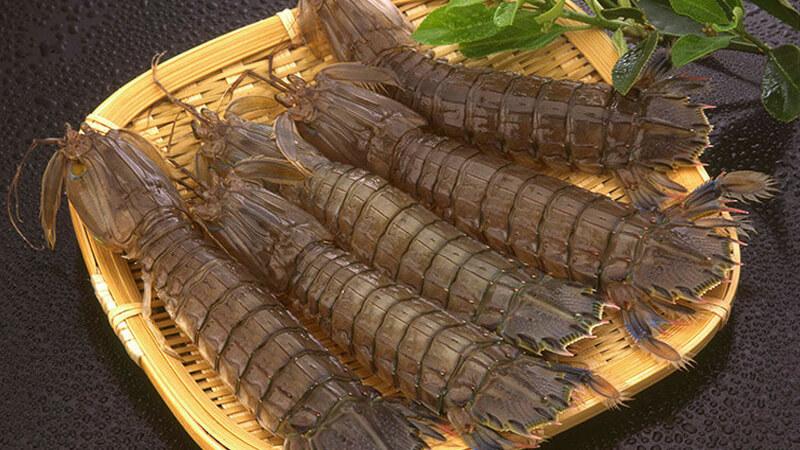 Tôm tích là loại tôm gì? Giá tôm tích bao nhiêu một ký? Những món ngon nào được chế biến từ tôm tích?