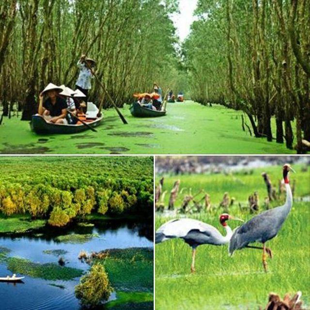 7 Địa điểm nổi bật khi bạn ghé thăm Châu Đốc - Tịnh Biên