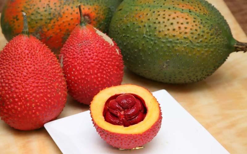 Khám phá nguồn gốc, ý nghĩa và phương pháp trồng cây gấc đơn giản và hiệu quả.