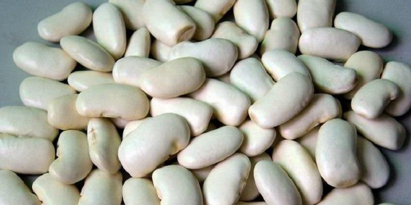 Đậu trắng mang lại lợi ích gì cho sức khỏe của chúng ta?