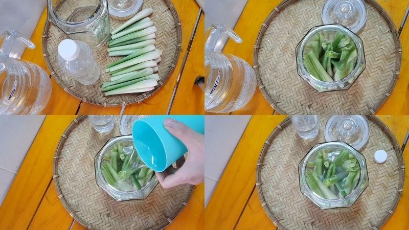 Hướng dẫn làm tinh dầu sả tự nhiên với công dụng tuyệt vời cho sức khỏe và làm đẹp