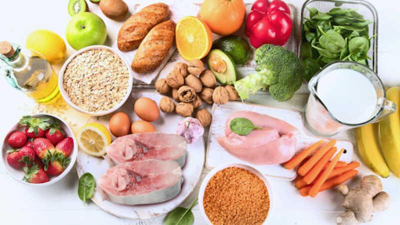 Làm sao để xây dựng khẩu phần ăn phù hợp cho chó Becgie?