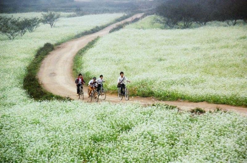Top 10 điểm đến tuyệt đẹp không thể bỏ lỡ tại vùng Tây Bắc