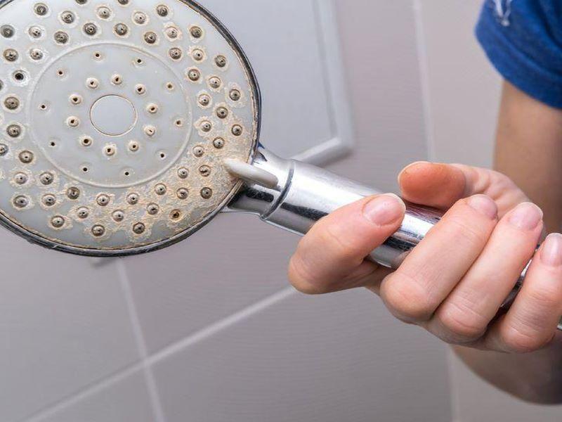 Vòi hoa sen tích tụ nhiều cặn bẩn và vi khuẩn. Phương pháp vệ sinh vòi sen hiệu quả nhất bạn cần biết