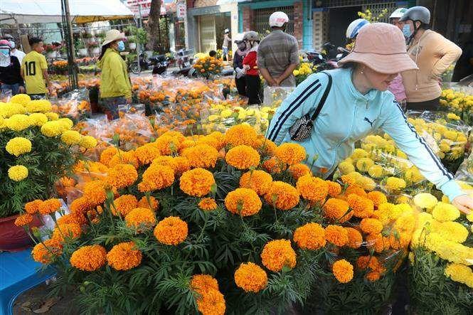 Top 10 chợ hoa Tết lớn nhất miền Tây năm 2025
