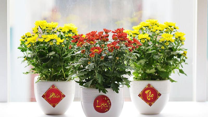 26 ý tưởng trang trí nhà cửa Tết 2025 đơn giản nhưng vô cùng ấn tượng