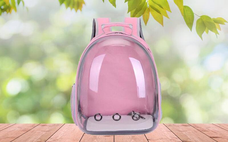 Khám phá 5 mẫu balo và túi xách đựng mèo vừa đẹp mắt, vừa bền bỉ, là người bạn đồng hành lý tưởng mỗi khi bạn muốn đưa thú cưng của mình đi đâu đó.