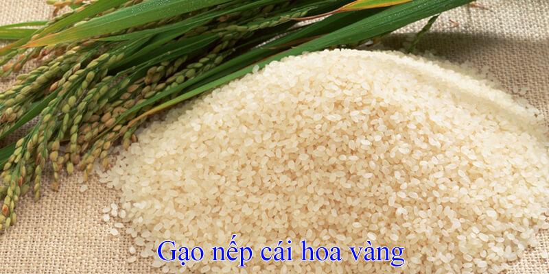 Gạo nếp – Ăn thế nào cho đúng và có lợi?