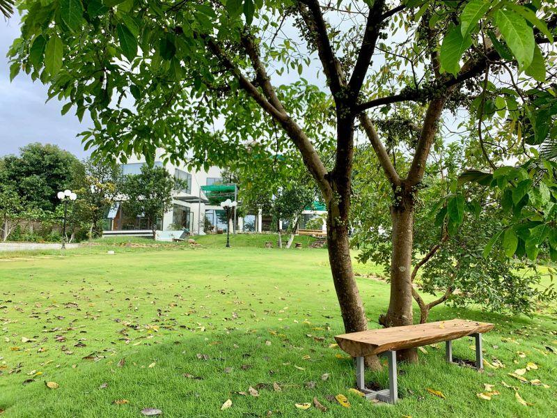 Khám phá 4 Homestay tuyệt vời nhất tại Hòa Lạc, Hà Nội