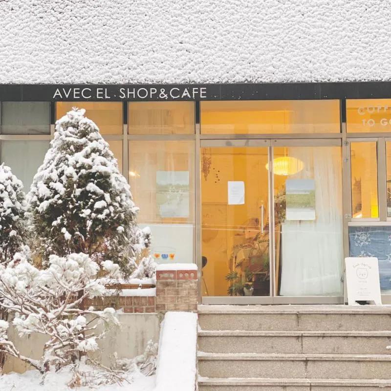 Top 5 quán cà phê đẹp quên lối về tại Seoul