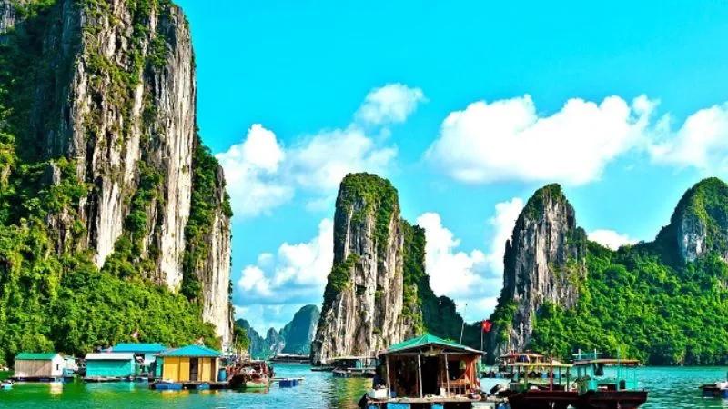 Đặc sản Hạ Long: Top 15 món ngon đặc trưng nên thưởng thức và mua về làm quà