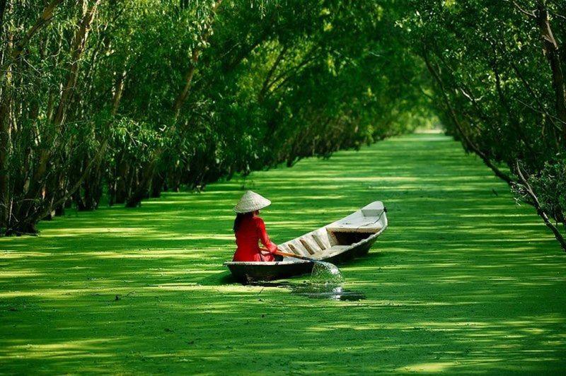 Khám phá 10 khu du lịch sinh thái nổi bật nhất miền Tây, nơi mang đến những trải nghiệm tuyệt vời và đáng nhớ.
