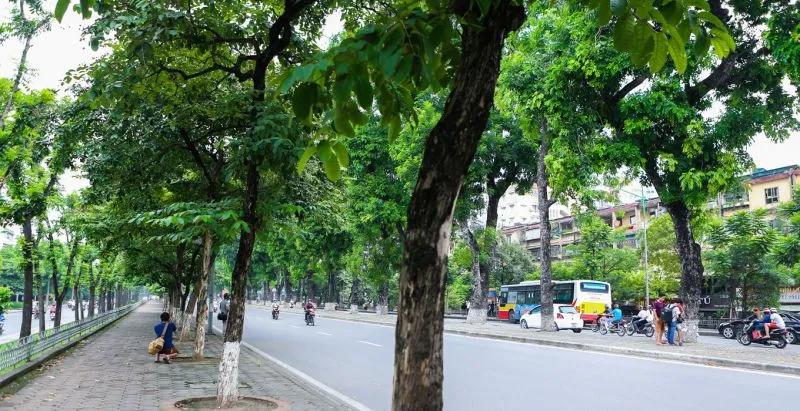 Top 9 con đường quyến rũ nhất Hà Nội khi thu chạm ngõ