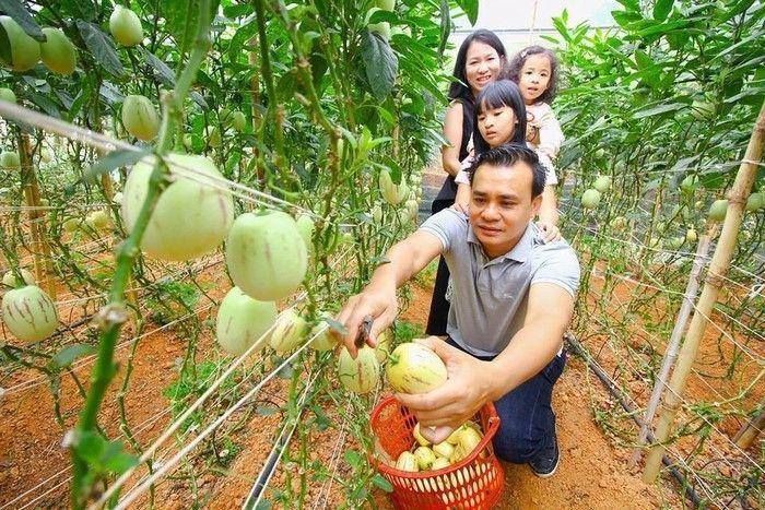 Top 8 Tour Du Lịch Đà Lạt Độc Đáo Và Thú Vị Nhất