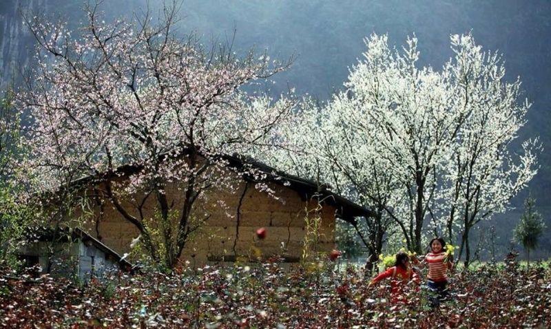 Top 10 điểm đến nhất định phải ghé khi du lịch Sa Pa