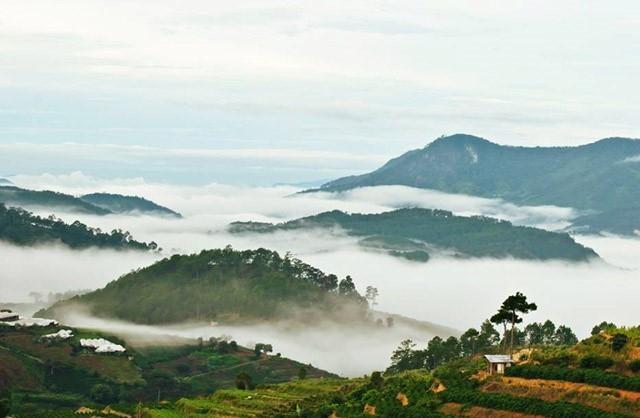 8 Trải nghiệm không thể bỏ lỡ khi du lịch Đà Lạt