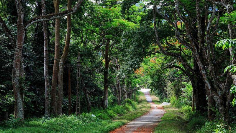 Top 10 Vườn Quốc gia không thể bỏ qua ở Việt Nam