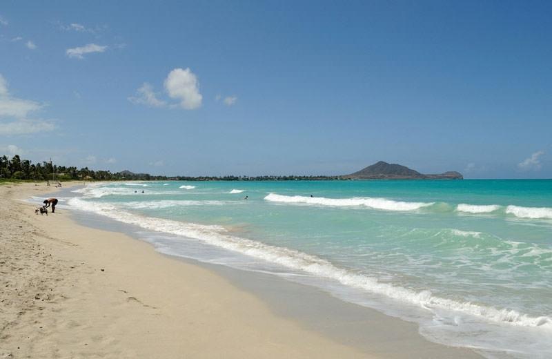 12 Bãi Biển Đẹp Nhất Tại Hawaii Bạn Không Thể Bỏ Lỡ