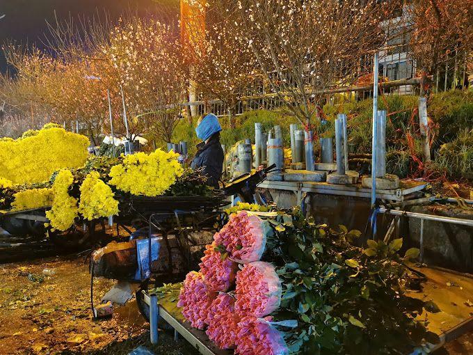 Khám phá 9 chợ hoa Tết nổi bật tại Hà Nội đón Xuân 2023