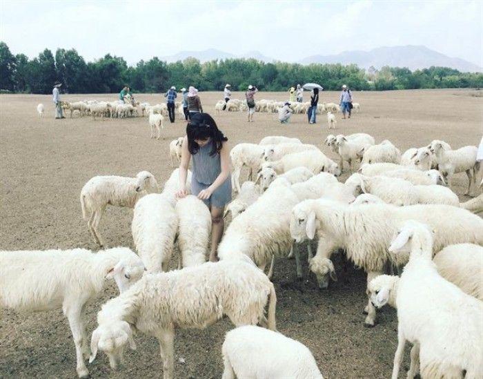 Top 13 địa điểm du lịch nổi bật nhất tại Vũng Tàu