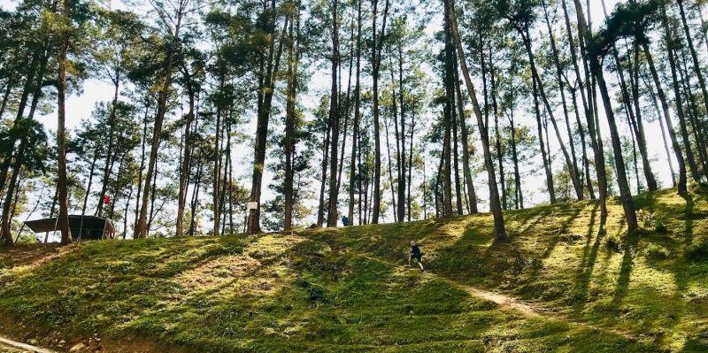 Khám phá 16 địa điểm du lịch nổi tiếng nhất tại Hà Giang